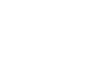 Dingman's Toyota Logo #ffffff