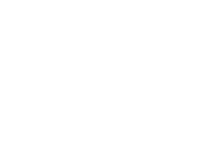 Dingman's Volkswagen Logo #ffffff